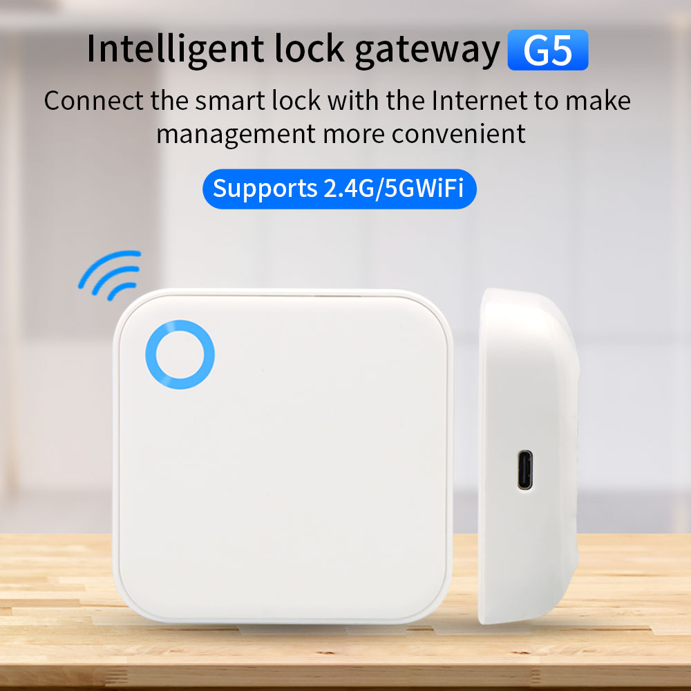 2.4G + 5G TTLOCK Gerbang WIFI  - Smart Home Door Lock ulasan dan harga