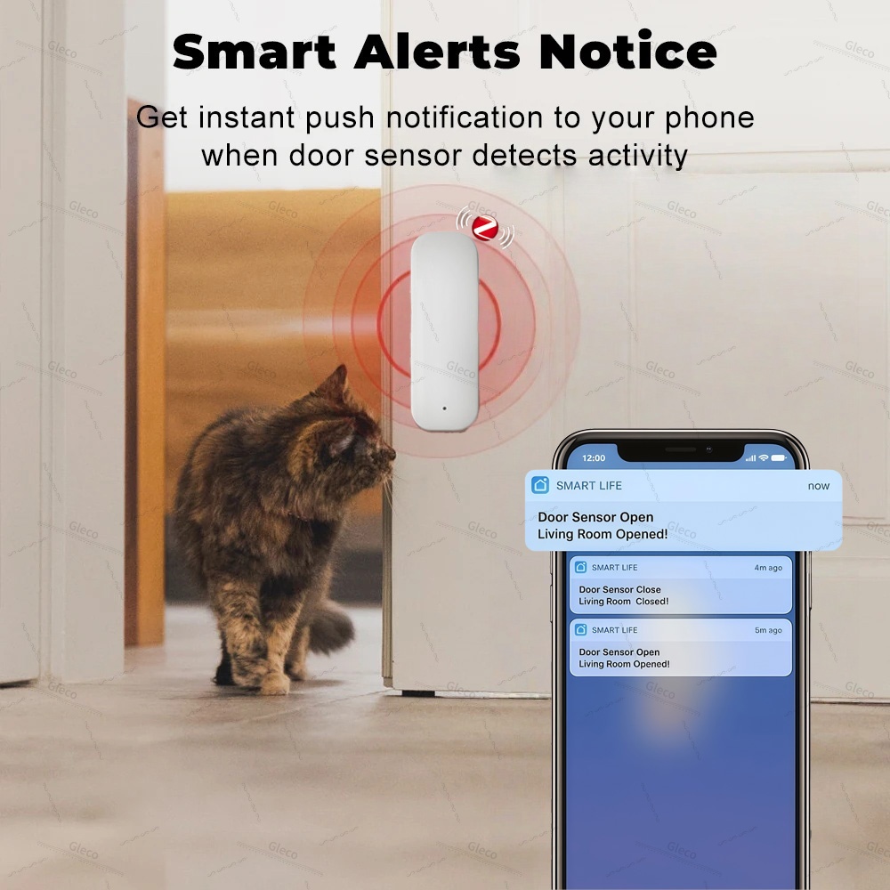 Tuya Zigbee Sensor Pintu Jende - Wireless Door Sensor ulasan dan harga